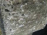 image of grave number 366736